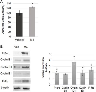 Low-Dose Alkylphenol Exposure Promotes Mammary Epithelium Alterations and Transgenerational Developmental Defects, But Does Not Enhance Tumorigenic Behavior of Breast Cancer Cells